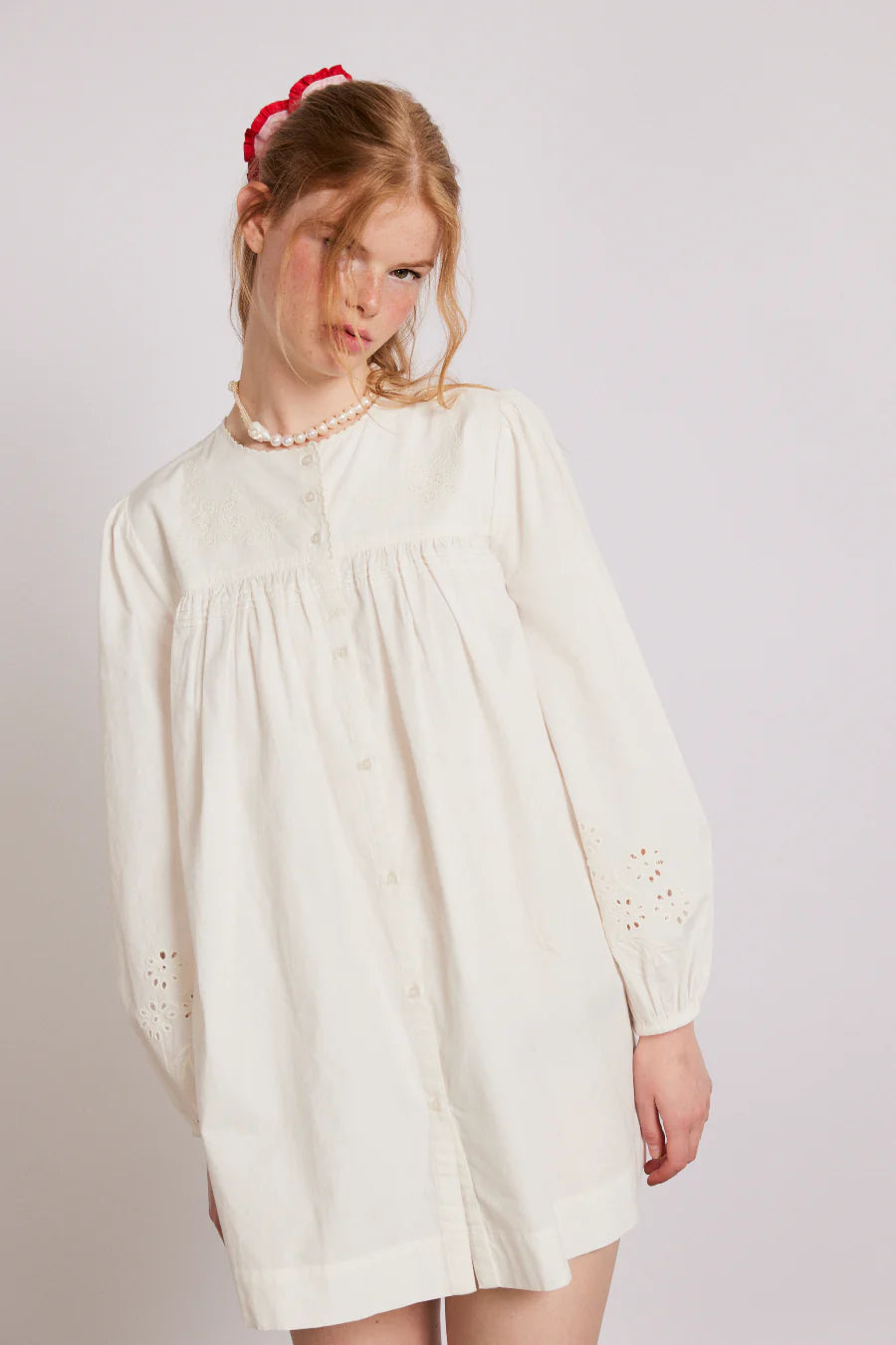 embroidered genevieve mini dress